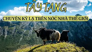 TÂY TẠNG - 10 ĐIỀU ĐẶC BIỆT VỀ ĐẤT PHẬT HUYỀN BÍ TRÊN NÓC NHÀ THẾ GIỚI | TIBET | AMAZING WORLD