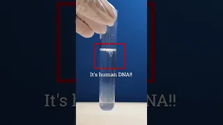 Extracting Human DNA in 1 minute!