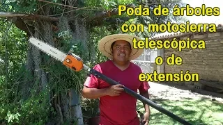 Poda de arboles con motosierra de extensión o telescopica