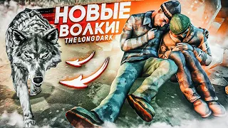 НОВЫЕ СТРАШНЫЕ ВОЛКИ! СНОВА НАШЁЛ РУЖЬЁ! ПРОХОЖДЕНИЕ THE LONG DARK #14