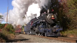 Reading and Northern 425 - Steam in the Fall Foliage October 2014