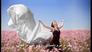 احمد ظاهر رفت از برم