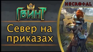 Гвинт. Север на приказах.  Подробный гайд + бой. Патч 1.0