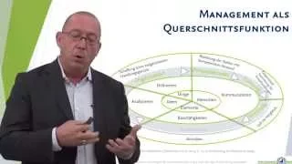 Organisationen, Organisationsstrukturen & Organisationsformen (Wirtschaft Lernvideo)