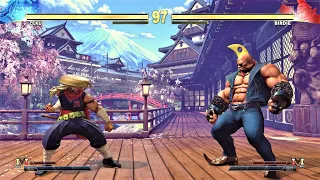 Zeku vs Birdie (Hardest AI) - Street Fighter V