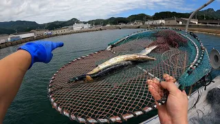 台風明けの濁川に罠を仕掛けてみた結果...