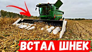 УБИРАЕМ МЁРТВУЮ КУКУРУЗУ! Комбайн ЗАГЛОХ.