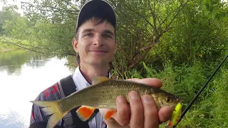 Ловля голавля на реке Березина. 2 этап TROPHY CHUB-2018. Видео-обзор "Получи леща!"