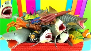 Shark Toys Collection Whales Fish Turtles Toys for Kids Tiburón Tubarão Jaws