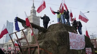 Agricultores polacos tachan el Pacto Verde Europeo de "ideología de izquierda"