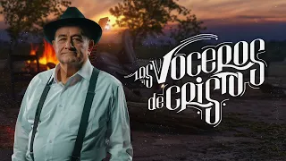 ♫ Oh alma mía, ama a Jehová Porque a su imagen, Él te creó ♫ Los Voceros de Cristo  Música Cristiana