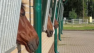 Пробуем конный клуб Форсайд (Санкт-Петербург)