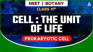 CELL THE UNIT OF LIFE CLASS 11 | PROKARYOTIC CELL | NEET SANJEEVANI BATCH | BY TARUN SIR SANKALP