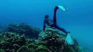 Submerged in Blue - Spearfishing WA