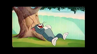 Tom and Jerry Episode 53   The Framed Cat Part 1