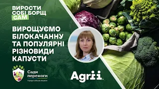 Вирощуємо білокачанну та популярні різновиди капусти | Вирости борщ собі сам