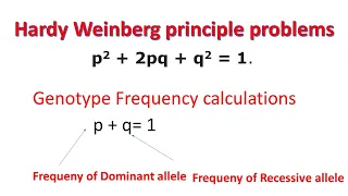 Hardy Weinberg Principle Problems | Genotype Frequency | Allele Frequency |