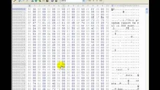 Reverse Engineering 101 ( Using A Hex Editor To Find Passwords )