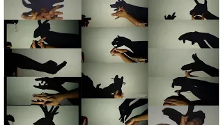 Hand Shadow Play|Animal, Bird Shadow play for kids