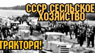 СССР-1969 -75 ГОДЫ!СЕЛЬСКОЕ ХОЗЯЙСТВО! ТЕХНИКА НА ПОЛЯХ СССР! ТРАКТОРА!