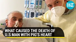Man, who received pig heart transplant, dies two months after making history | Watch