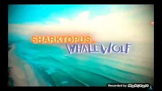 Sharktop vs Whalewolf [AMV] My Demons