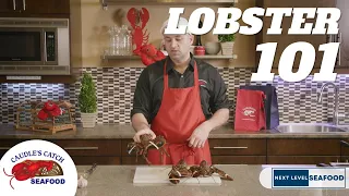 How to cook a live lobster...and more!