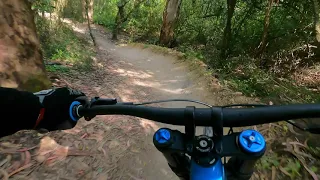 Monsanto downhill - Gigantone