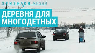 Многодетным семьям выделили землю. Но "забыли" про дороги, освещение и школы | ПРИЗНАКИ ЖИЗНИ