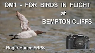 OM1 - For Birds in Flight at Bempton Cliffs