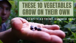 10 Vegetables that Grow on their Own Despite Extreme Heat