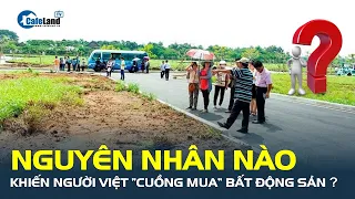 Nguyên nhân nào khiến người Việt “cuồng mua” bất động sản? | CafeLand