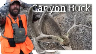 Episode 2: Public Canyon Land Mule Deer Part 2