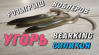 Угорь Силикон от Bearking (РОЗЫГРЫШ ВОБЛЕРОВ)