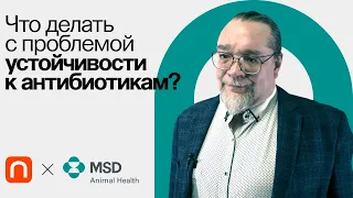 Перспективы борьбы с резистентностью антибиотиков / Константин Мирошников на ПостНауке