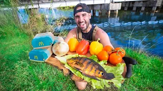 Roadside FAST FOOD Fish Sandwich CATCH & COOK Challenge!! (mystery fish)