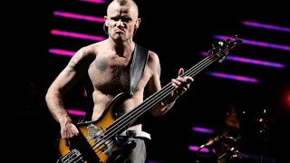 Red Hot Chili Peppers - Dani California (Bass backing track)