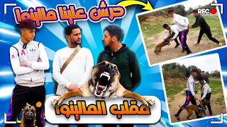 أحسن مقلب 😂تحدي في بوادي المغرب 🇲🇦..حرش علينا مالينوا🐕