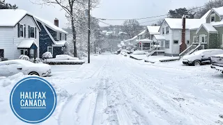 Peaceful Snow Walk | Winter Storm Ambience | Halifax Canada 2024 🍁