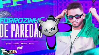 FORROZINHO JOAQUIM - DJ MELK