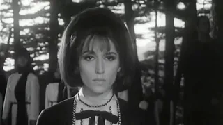 Ya Zahrat al-Mada'in (English Translation) – Rare Music Video (1967) – Fairuz Song for Palestine