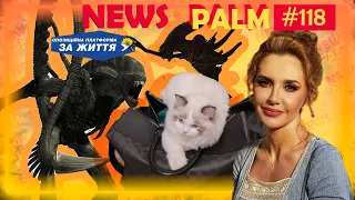 Котик Кокосик и инопланетный разум ОПЗЖ / Ньюспалм # 118