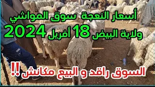 أسعار النعجة أم الخروف و نتاع الموس و الخروفة و الرخلة سوق البيض للمواشي الخميس 18 أفريل 2024