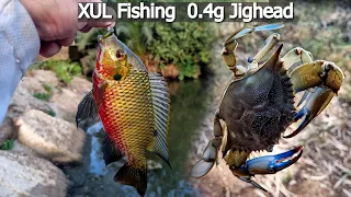 Fun XUL fishing in the Yarkon Stream, the season opened with big fish 🐟 and crab 🦀 4K EN Subs.