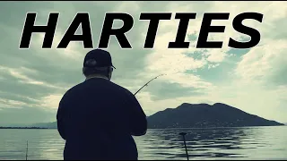 Specimen Fishing From A Boat