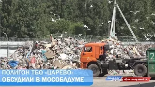 Полигон ТБО "Царёво" обсудили в Мособлдуме