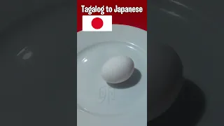 Tagalog to Japanese | ITLOG🥚 #shorts