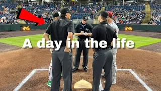 A Day in the Life of a Minor League Umpire