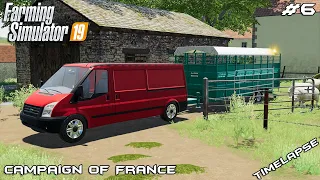 Selling grain & animal care | Campaign Of France | Farming Simulator 2019 | Episode 6