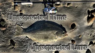 Halibut fishing Ep13 Unexpected time Unexpected Lure /San Diego